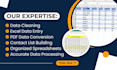 do excel data entry, spreadsheet cleanup, PDF data conversion in 24h
