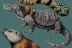 draw detail animal illustration