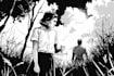 draw black and white illustrations