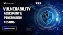 do advance penetration on web site, pen test server and vulnerability assessment