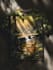 amazing t shirt design