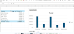 build pivot tables and graphs to summarize large datasets