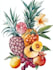 illustrate best botanical illustration