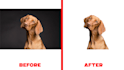 upscale image quality and remove background professionally