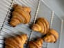 design a refined and elegant dessert menu
