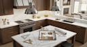 design professional kitchen layout with custom cabinetry and realistic 3d render