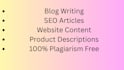 write ai content and edit it professionally