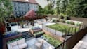 render your landscape backyard, garden and frontyard based on your requirements