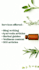 write authentic ayurveda and wellness blog