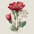 hand draw botanical illustrations