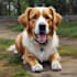 paint stunning pet portrait
