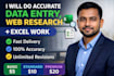professional data entry expert