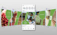 do creatve social media content, visual, design