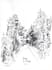 ink drawings and scientific illustration