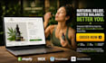 design cbd shopify store cannabis hemp website marijuana vape store cbd website