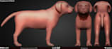 create 3d creature design,  3d animal animal model, rigging, animation