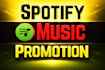 do spotify promotion to target audience