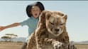 3d animal model animal design 3d animation