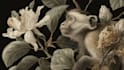 draw an animal and botanical illustration