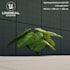 do a game ready 3d model, optimized, with uvs, textures