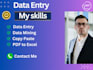 do detailed data entry typing and online research work