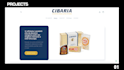 build a conversion focused ecommerce website for your brand