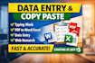do copy paste, typing, data entry and pdf to word conversion
