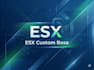 help create dev your fivem rp dream server
