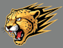 create cheetah mascot logo design with 1 day delivery