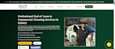 design professional website for local business growth