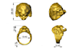 design professional 3d jewelry and custom graduation rings