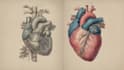draw exercise, medical and anatomy illustrations
