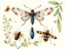 create insects, animals and botanical illustrations