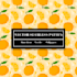 design seamless repeat vector patterns for you