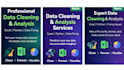 clean, process and analyze your data using python and excel
