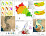 provide arcgis, gis mapping, remote sensing, and gis analysis services