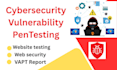 do website security testing and cybersecurity vapt