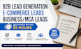 do b2b lead generation and ecommerce leads for business mca leads in 24hours