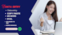 do your data entry, data mining, copy paste, web res,