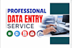 be your expert data entry operator for excel