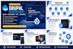 drupal website development, customization, and bug fixing