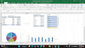 provide professional business analysis