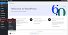 provide programming and tech support