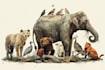 draw animals in scientific illustration digitally