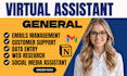 be your virtual assistant for email management, data entry, calendar scheduling