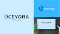 design your professional business logo in 6 hours