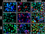 analyze biological and scientific data using python