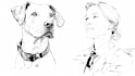create custom line art illustrations from your ideas