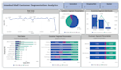 professional and interactive power bi dashboard