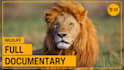 create and edit animal documentry video